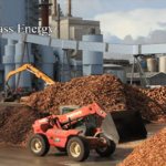 What is Biomass Energy and Its Advantages and Disadvantages?