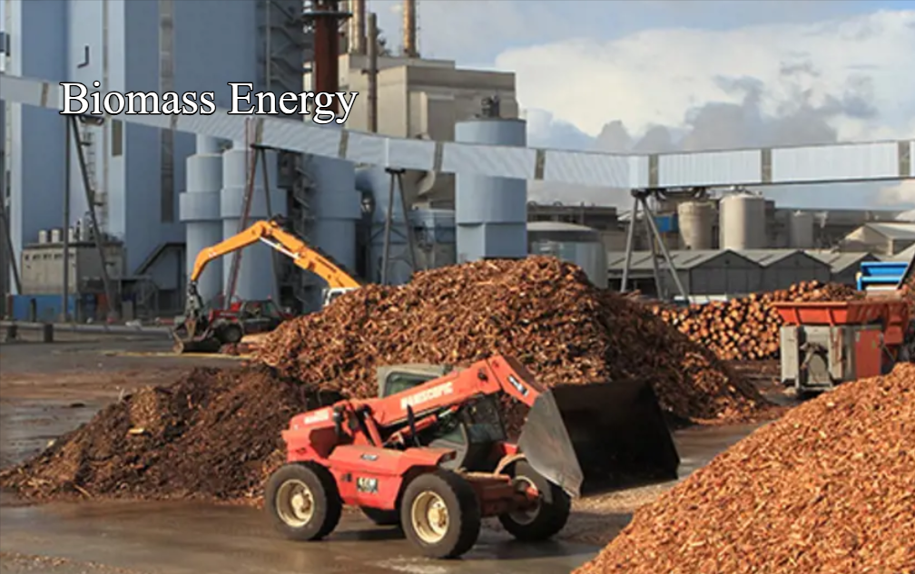 Biomass Energy